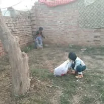 Green Seekers Activity